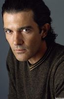 citation film vous allez rencontrer un bel et sombre inconnu