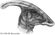 Avatar parasaurolophus Avatar parasaurolophus
