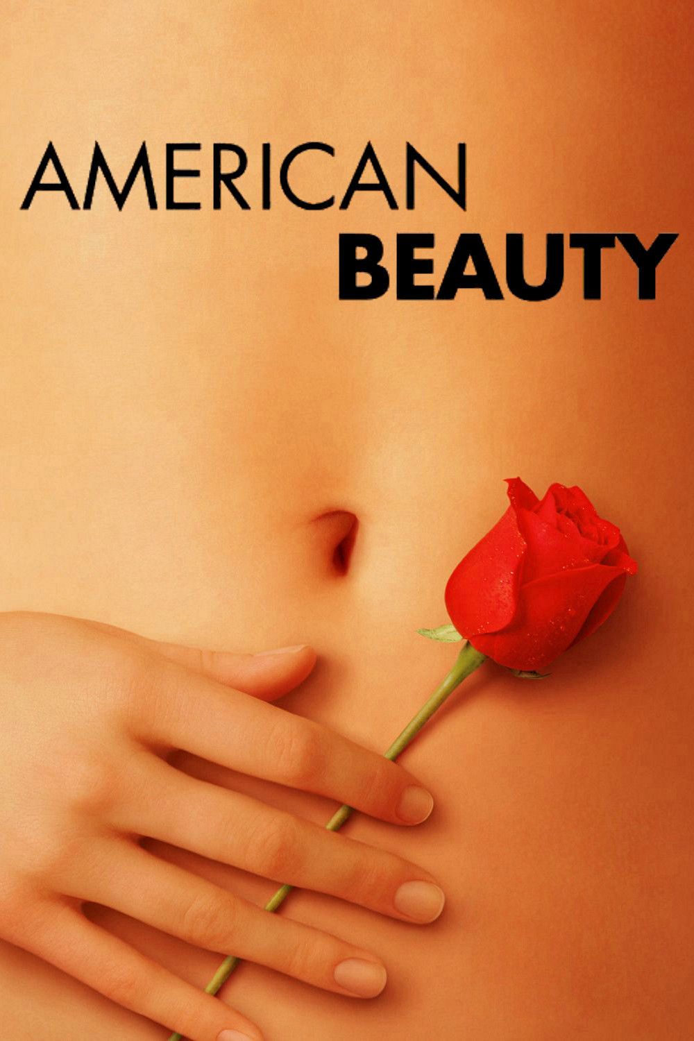 affiche American Beauty