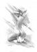 Avatar BibliOrnitho Avatar BibliOrnitho