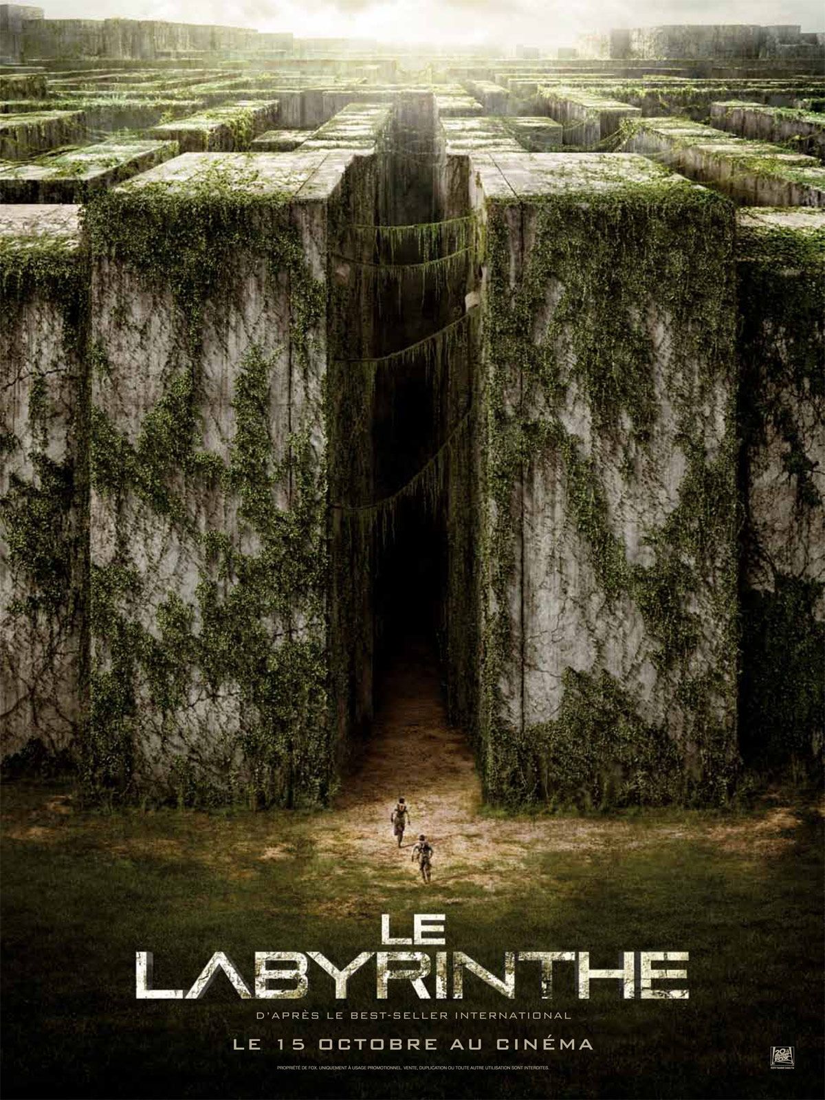 Le Labyrinthe 1 Gratuit Affiches, posters et images de Le Labyrinthe (2014) - SensCritique