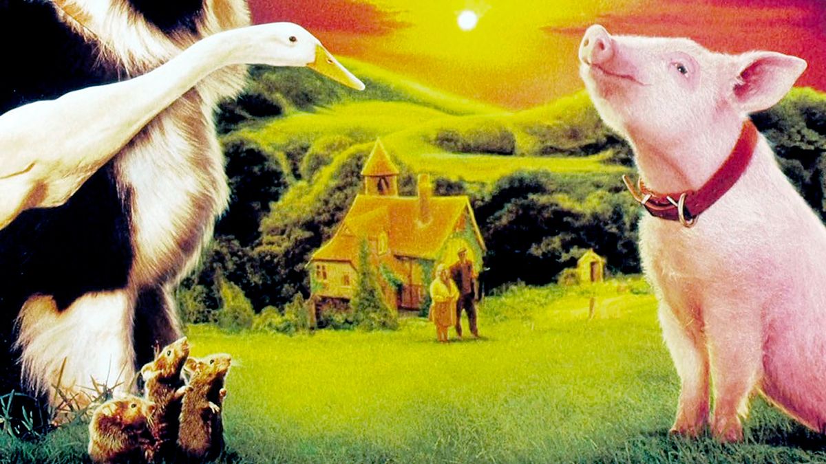 Babe Le Cochon Devenu Berger Streaming Vf Babe, le cochon devenu berger - Film (1995) - SensCritique