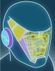 Avatar Scopini Avatar Scopini