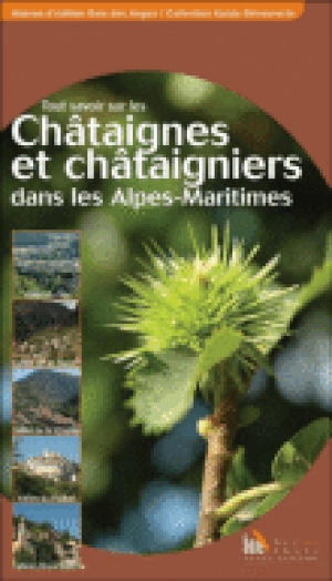 Tout savoir sur les châtaignes et les châtaigniers dans les Alpes-Maritimes