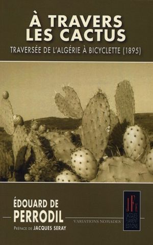 A travers les cactus