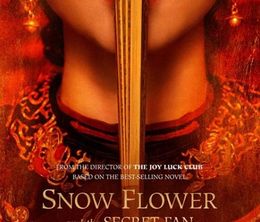 image-https://media.senscritique.com/media/000000003345/0/snow_flower_and_the_secret_fan.jpg
