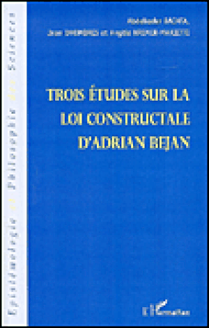 Trois études sur la loi constructale d'Adrian Béjan