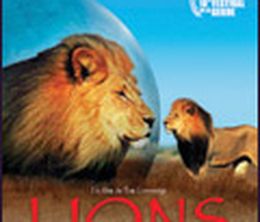 image-https://media.senscritique.com/media/000000006797/0/lions_combat_de_rois_au_kalahari.jpg