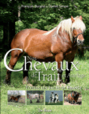 Nos chevaux de trait