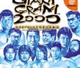 image-https://media.senscritique.com/media/000000009589/0/giant_gram_2000_all_japan_pro_wrestling_3.jpg