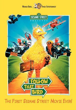 Suivez cet oiseau