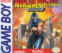 image-https://media.senscritique.com/media/000000011656/0/ninja_gaiden_shadow.png