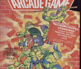 image-https://media.senscritique.com/media/000000013538/0/teenage_mutant_hero_turtles_ii_the_arcade_game.jpg
