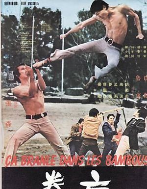 Les pires titres français de films de Kung Fu