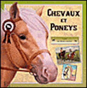 Chevaux et poneys