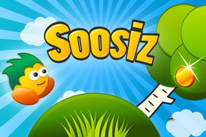Soosiz
