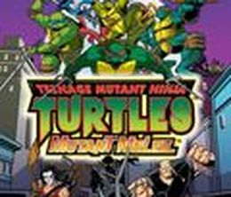 image-https://media.senscritique.com/media/000000020028/0/teenage_mutant_ninja_turtles_mutant_mele.jpg
