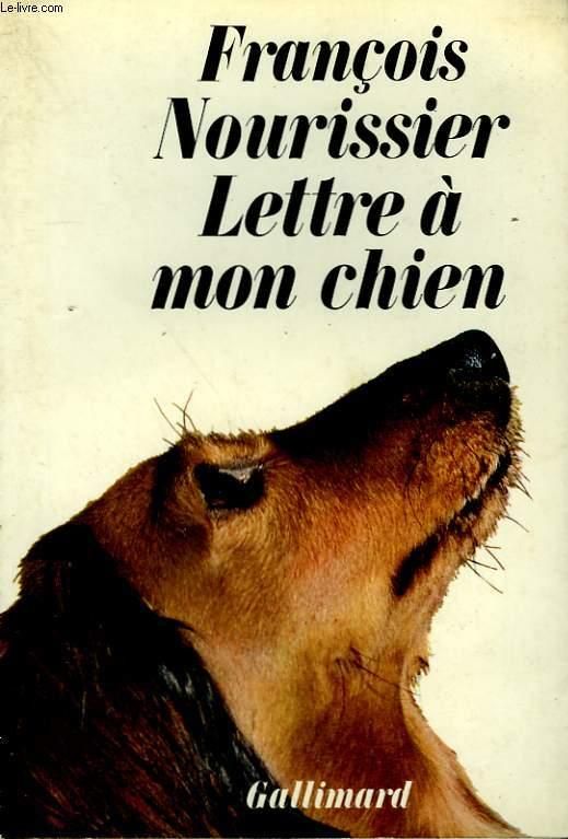 lettre pour chien