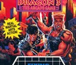 image-https://media.senscritique.com/media/000000026535/0/double_dragon_3_the_arcade_game.jpg