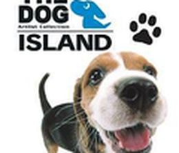 image-https://media.senscritique.com/media/000000027340/0/the_dog_island.jpg