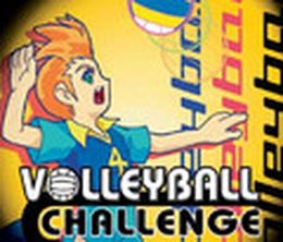 image-https://media.senscritique.com/media/000000027350/0/volleyball_challenge.jpg