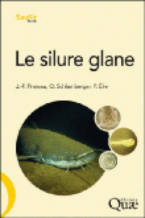 Le silure glane