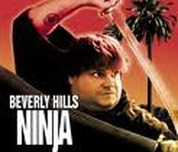 image-https://media.senscritique.com/media/000000027858/0/le_ninja_de_beverly_hills_2.jpg