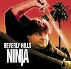 Le ninja de beverly hills 2