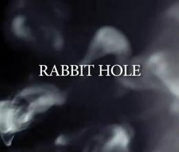image-https://media.senscritique.com/media/000000030512/0/rabbit_hole.png