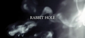 Rabbit Hole