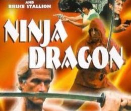 image-https://media.senscritique.com/media/000000033325/0/ninja_dragon.jpg
