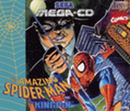 image-https://media.senscritique.com/media/000000035257/0/the_amazing_spider_man_vs_the_kingpin.jpg