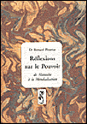 Réflexions sur le pouvoir de Nietzsche à la mondialisation