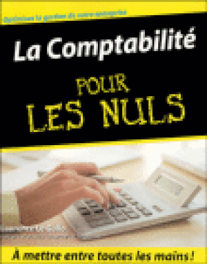 La comptabilité pour les nuls