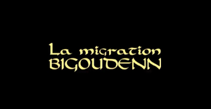 La Migration Bigoudenn
