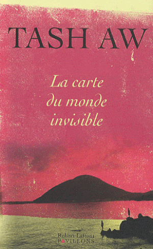 La Carte du monde invisible