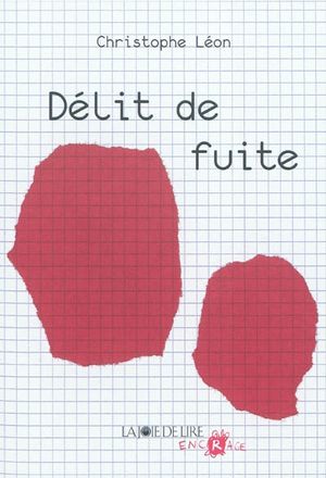 Délit de fuite