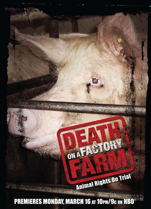 Death on a Factory Farm