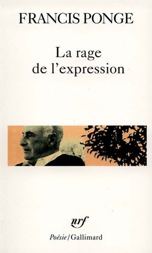 La Rage de l'expression