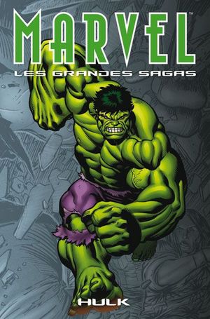 Hulk - Marvel : Les Grandes Sagas, tome 6