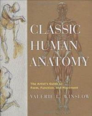 Classic Human Anatomy