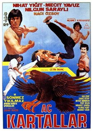 Turkish Bruce Lee