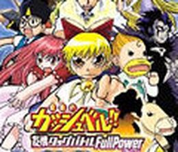 image-https://media.senscritique.com/media/000000052595/0/zatch_bell_mamodo_battles.jpg