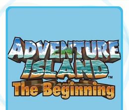 image-https://media.senscritique.com/media/000000055630/0/adventure_island_the_beginning.jpg