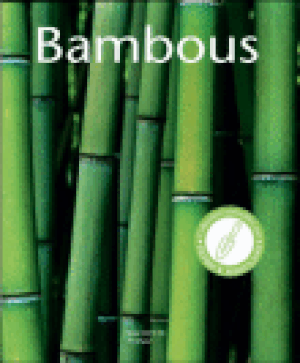 Bambous