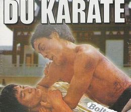 image-https://media.senscritique.com/media/000000060749/0/le_vengeur_du_karate.jpg