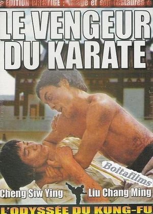 Le vengeur du karaté