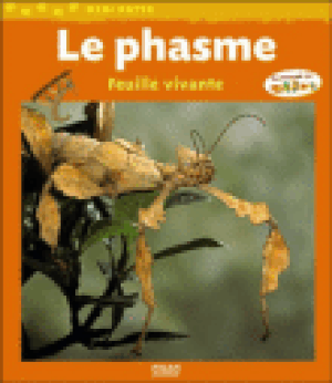 Le phasme feuille vivante