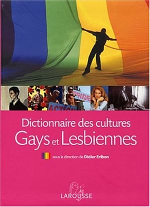 Dictionnaire des cultures gays et lesbiennes