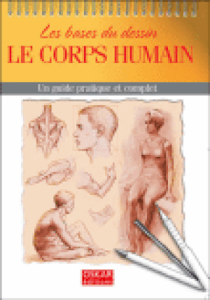 Bases du dessin, le corps humain